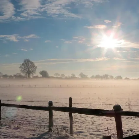 Volschow-hering Fewo 